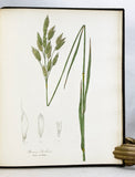 A Flora of the State of New-York, Comprising Full Descriptions of All the Indigenous and Naturalized Plants Hitherto Discovered in the State; with Remarks on Their Economical and Medicinal Properties, in 2 volumes (the hand-colored plate version)