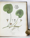 A Flora of the State of New-York, Comprising Full Descriptions of All the Indigenous and Naturalized Plants Hitherto Discovered in the State; with Remarks on Their Economical and Medicinal Properties, in 2 volumes (the hand-colored plate version)