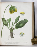 A Flora of the State of New-York, Comprising Full Descriptions of All the Indigenous and Naturalized Plants Hitherto Discovered in the State; with Remarks on Their Economical and Medicinal Properties, in 2 volumes (the hand-colored plate version)