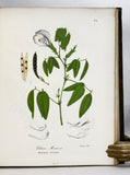 A Flora of the State of New-York, Comprising Full Descriptions of All the Indigenous and Naturalized Plants Hitherto Discovered in the State; with Remarks on Their Economical and Medicinal Properties, in 2 volumes (the hand-colored plate version)