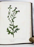 A Flora of the State of New-York, Comprising Full Descriptions of All the Indigenous and Naturalized Plants Hitherto Discovered in the State; with Remarks on Their Economical and Medicinal Properties, in 2 volumes (the hand-colored plate version)