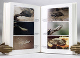 Reptiles del Noroeste, Nordeste y este de la Argentina: Herpetofauna de las selvas subtropicales Puna y Pampas.