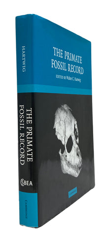 The Primate Fossil Record