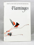 Flamingos