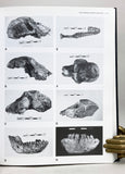 The Primate Fossil Record