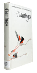 Flamingos
