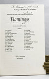 Flamingos