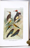 Birds of the Island of Java, in 2 volumes