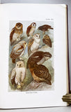 Birds of the Island of Java, in 2 volumes