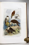 Birds of the Island of Java, in 2 volumes