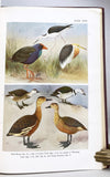 Birds of the Island of Java, in 2 volumes