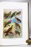 Birds of the Island of Java, in 2 volumes
