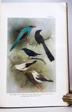 Birds of the Island of Java, in 2 volumes