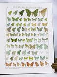 The Macrolepidoptera of the World (a complete, fully bound set: 16 volumes and 4 supplements bound in 30 total volumes)