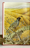 The California Quail
