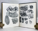 Environment and Ecology of Early Man in Northwest India: Geological and palaeontological evidences