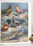 The Pheasants of the World