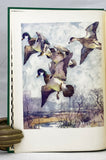 Concord River. Selections from the Journals of William Brewster