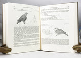 Pigeons and Doves of the World