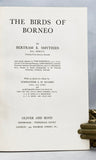 The Birds of Borneo