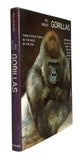 All About Gorillas