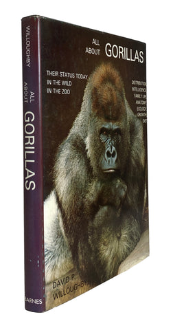 All About Gorillas