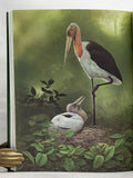 Storks, Ibises and Spoonbills of the World