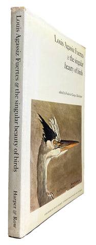 Louis Agassiz Fuertes and the Singular Beauty of Birds
