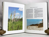Louisiana Paradise: The Chenieres and Wetlands of Southwest Louisiana