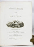 Agriculture of New York: Comprising an Account of the Classification, Composition and Distribution of the Soils and Rocks, and the natural Waters of the Different Geological Formations;