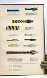 Indian Snakes: An Elementary Treatise on Ophiology with A Descriptive Catalogue of the Snakes Found in India