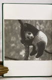 Giant Pandas: Biology and Conservation