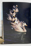 Birds in Yunnan