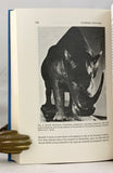 Pleistocene Extinctions: The Search for a Cause