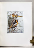 The Birds of Washington (Volume 1 only of two volumes), Large Paper Edition limited to 200 copies