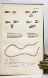 Indian Snakes: An Elementary Treatise on Ophiology with A Descriptive Catalogue of the Snakes Found in India