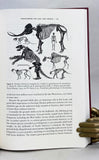 Twilight of the Mammoths: Ice Age Extinctions and the Rewilding of America