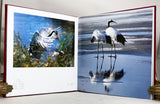 Red-crowned Crane - Wang Keju's Photo Works