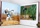 Red-crowned Crane - Wang Keju's Photo Works