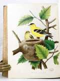 Nests and Eggs of Birds of the United States