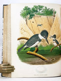 Nests and Eggs of Birds of the United States