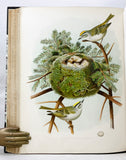 Nests and Eggs of Birds of the United States