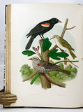 Nests and Eggs of Birds of the United States