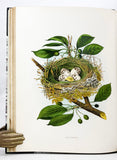 Nests and Eggs of Birds of the United States