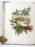 Nests and Eggs of Birds of the United States