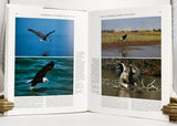 Handbook of the Birds of the World, volumes 1-11 (of 16)