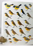 Handbook of the Birds of the World, volumes 1-11 (of 16)