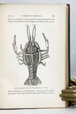 The Voyage of the Challenger. The Atlantic. A preliminary account of the general results of the Exploring Voyage of H.M.S. Challenger during the year 1873 and the early part of the year 1876, two volumes