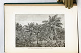 The Voyage of the Challenger. The Atlantic. A preliminary account of the general results of the Exploring Voyage of H.M.S. Challenger during the year 1873 and the early part of the year 1876, two volumes
