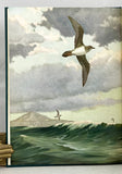 Oceanic Birds of South America, in two volumes